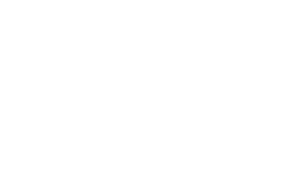 Sel Proje